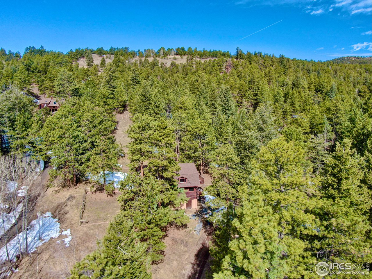 601 Pika Road Boulder, CO 80302 - Photo 35 of 38 a view of a yard with a tree