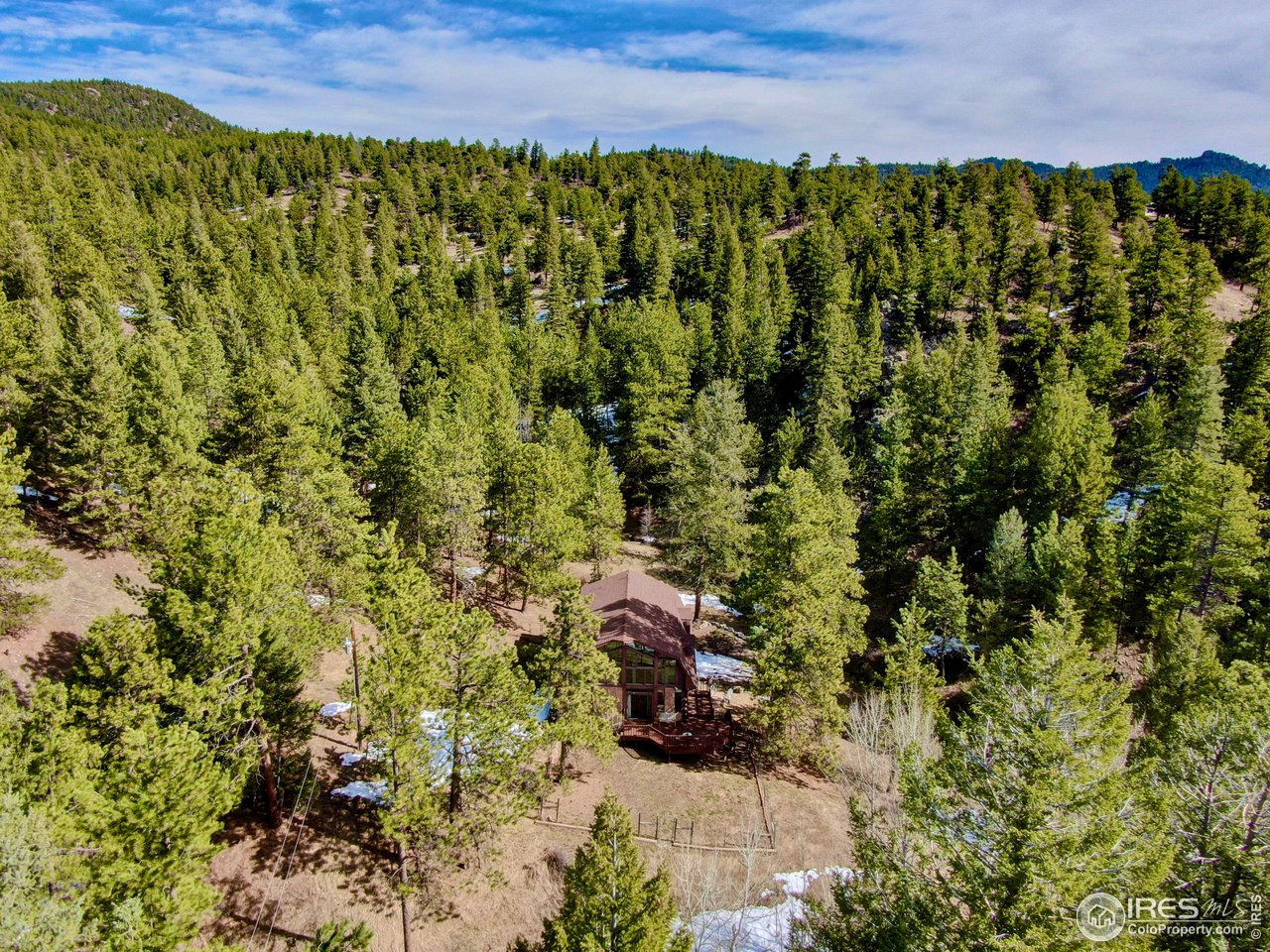601 Pika Road Boulder, CO 80302 - Photo 36 of 38 a view of a bunch of trees and bushes
