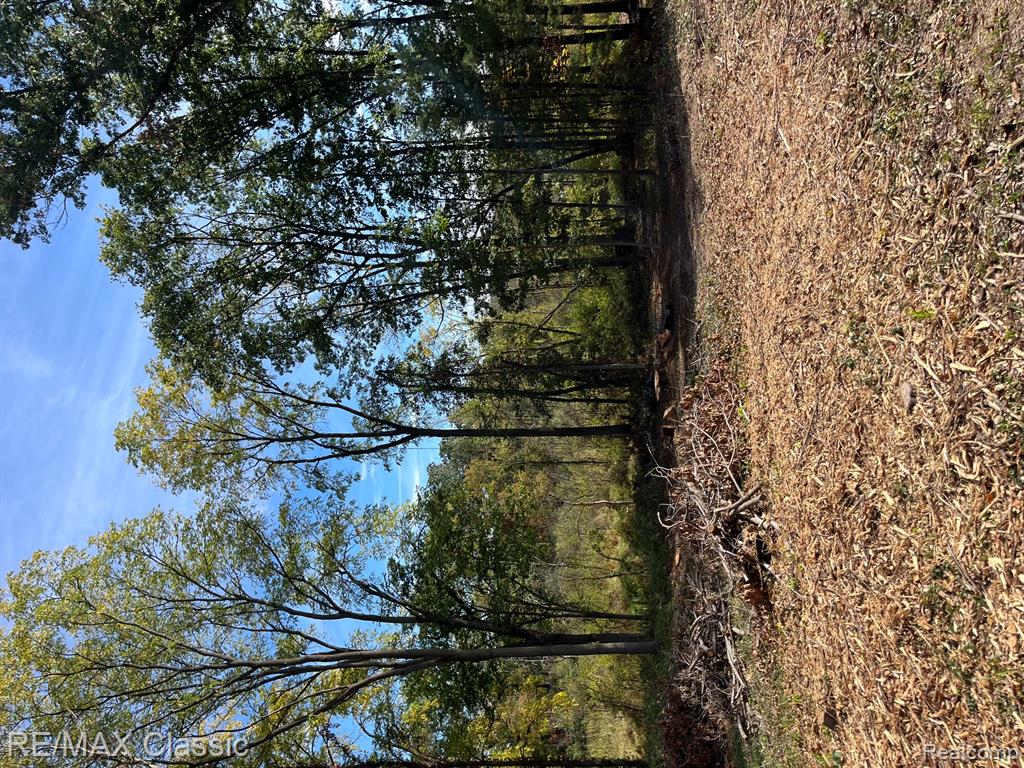 0 Old Mill Road Pinckney, MI 48169 - Photo 2 of 3