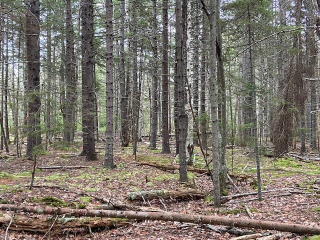 M36-l8&l9 Main Road Islesboro, ME 04848 - Photo 19 of 22 IMG_8391
