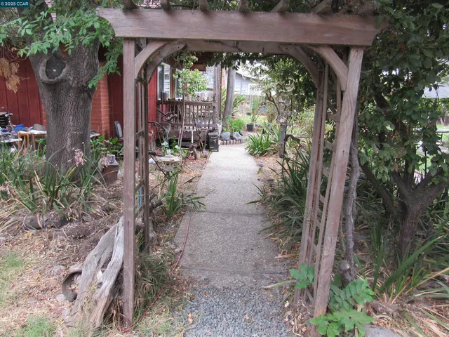 a view of a pathway with a tree