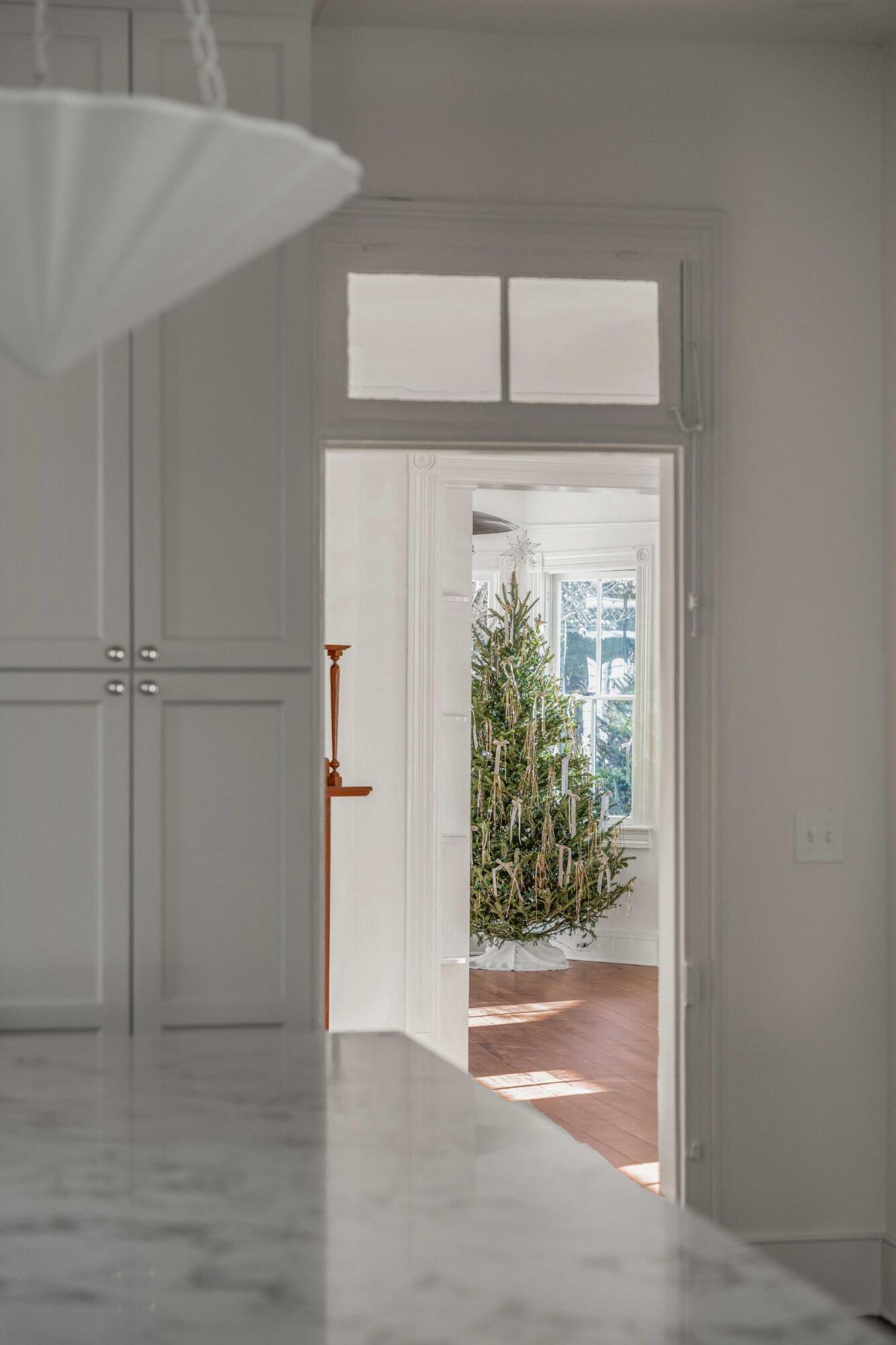 6 Carolina Street Charleston, SC 29403 - Photo 30 of 65 49