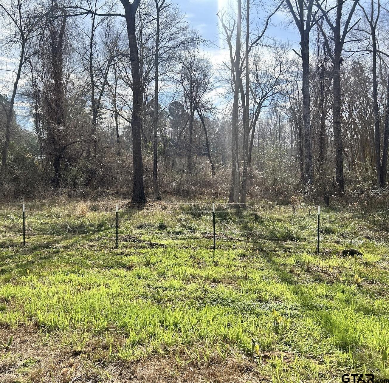 21091 County Road 113 Tyler, TX 75703 - Photo 4 of 5