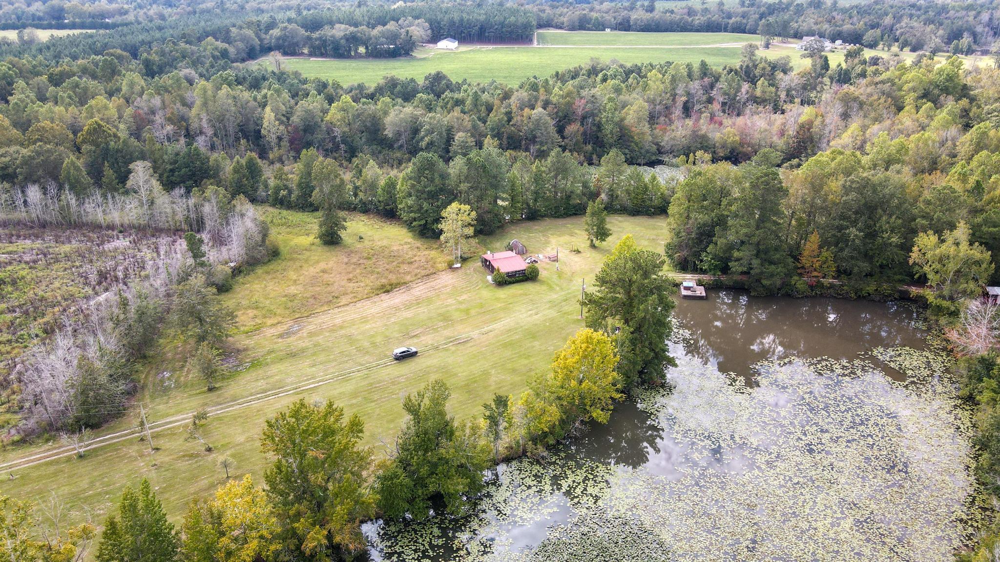 1420 Baltic Road Blackville, SC 29817 - Photo 2 of 22