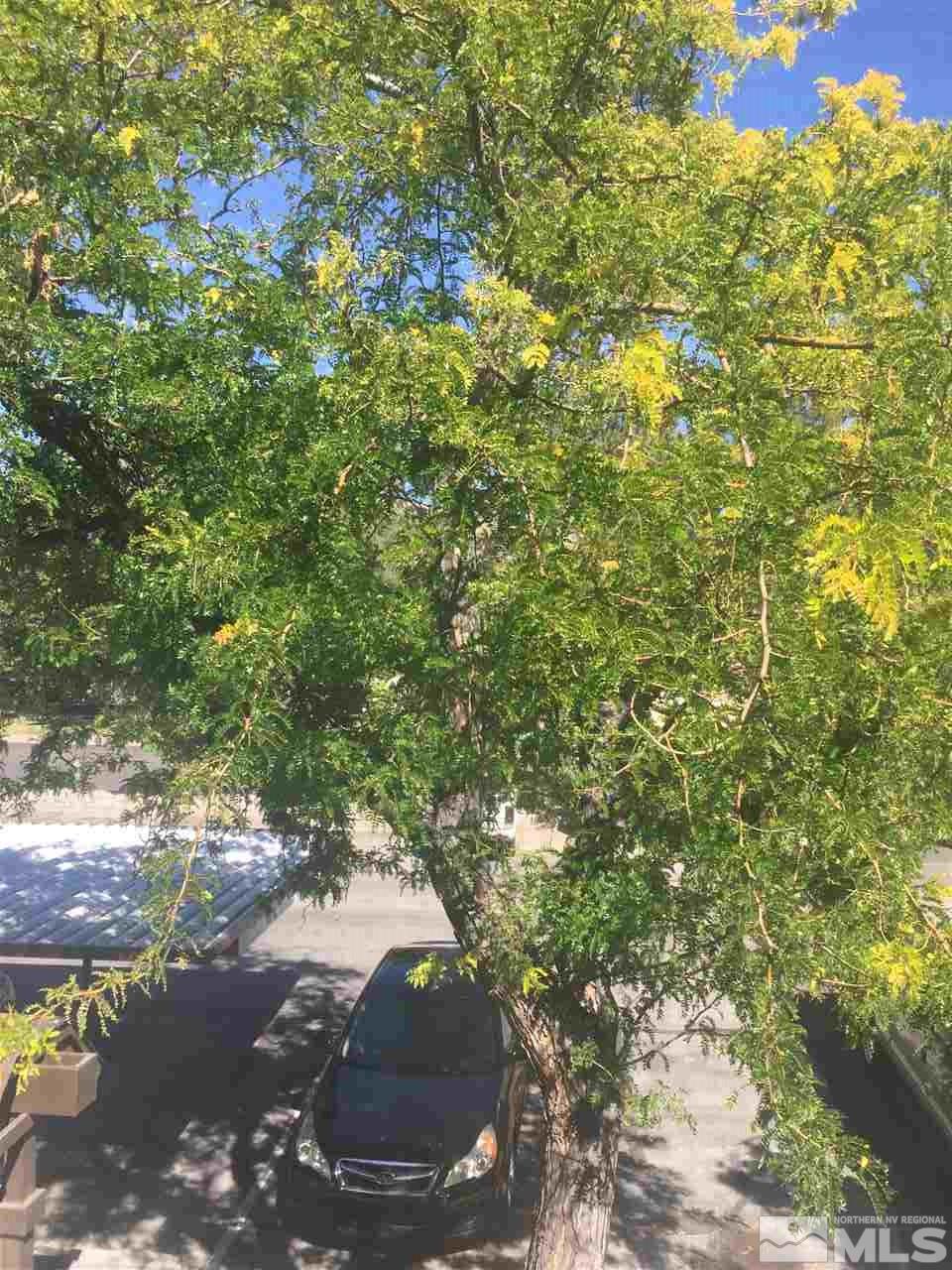 5031 Reggie Road Reno, NV 89502 - Photo 27 of 36 Photo 27