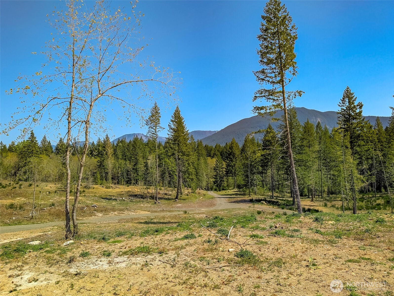 0 Craig Road, Unit LOT B3 Packwood, WA 98361 - Photo 5 of 12