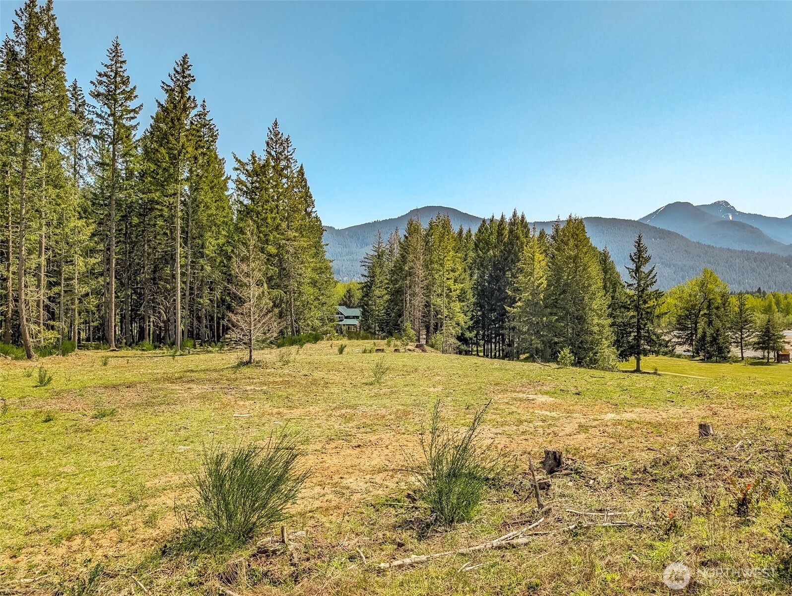 0 Craig Road, Unit LOT B3 Packwood, WA 98361 - Photo 7 of 12