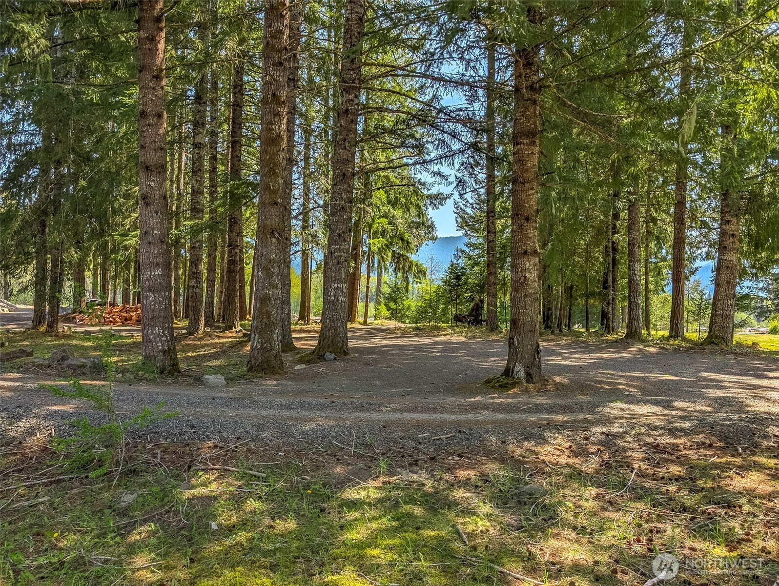 0 Craig Road, Unit LOT B3 Packwood, WA 98361 - Photo 9 of 12