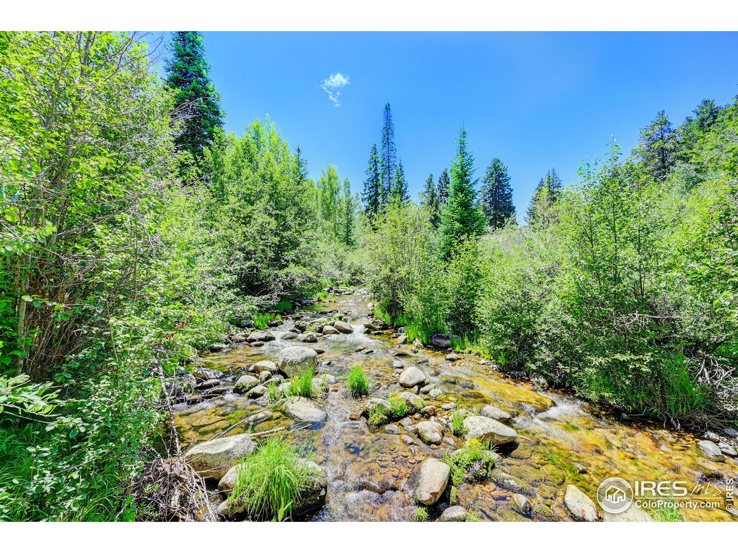 185 Vasquez Road, Unit B1 Winter Park, CO 80482 - Photo 5 of 17 a view of a yard with plants and large trees