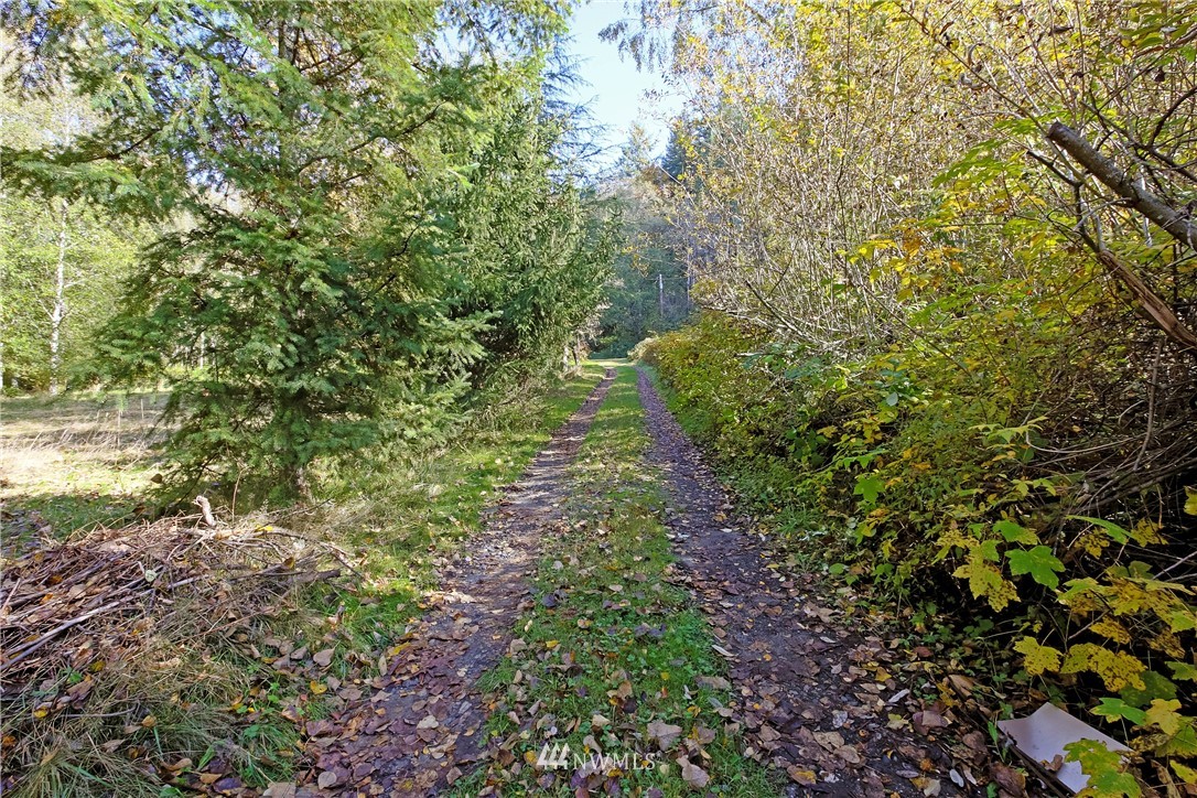 10571 Olalla Valley Road Southeast Olalla, WA 98359 - Photo 35 of 36 Gallery Image 35