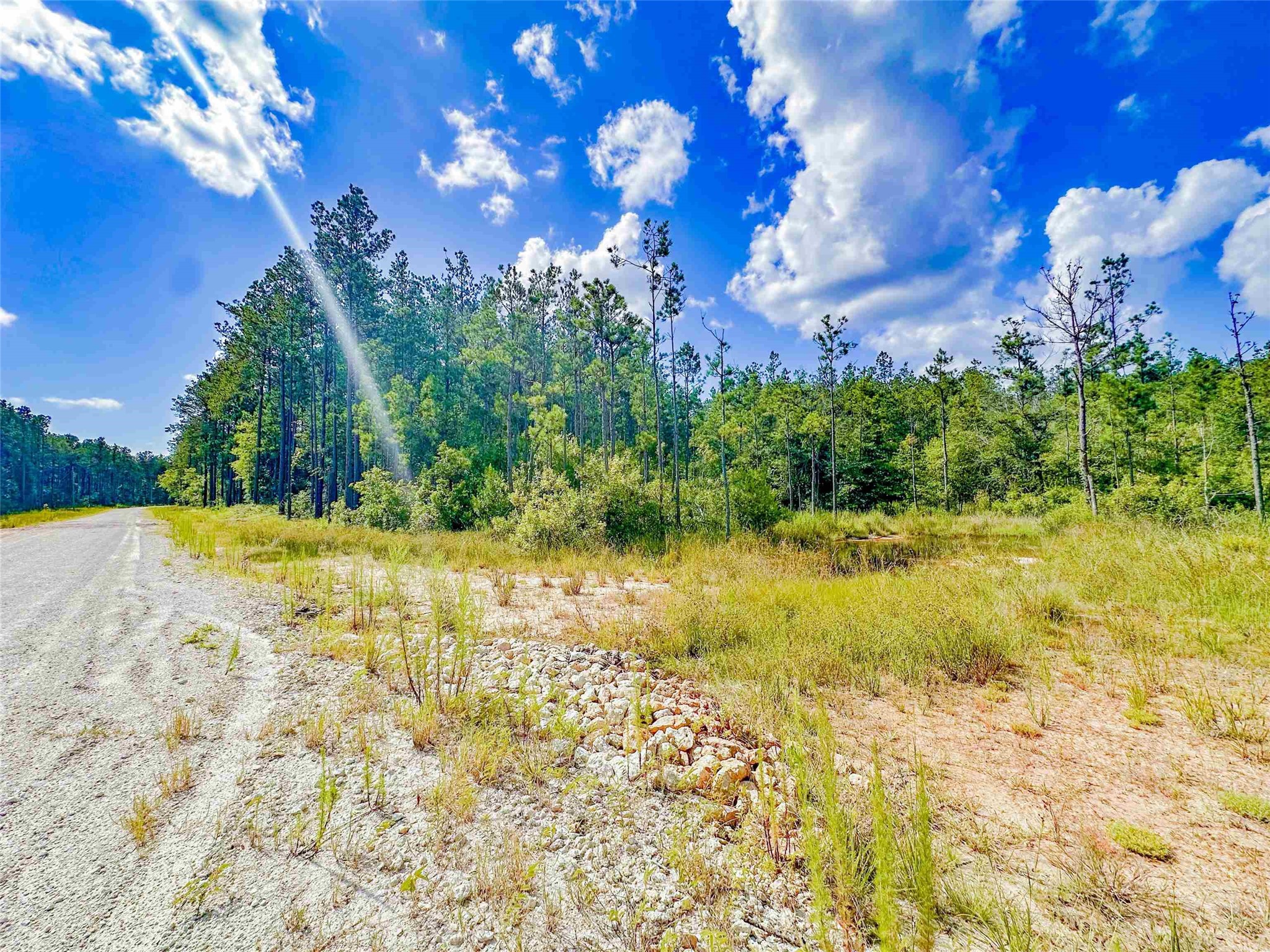 9010 Carter Ranch Road Kountze, TX 77625 - Photo 5 of 8 Gallery Image 5