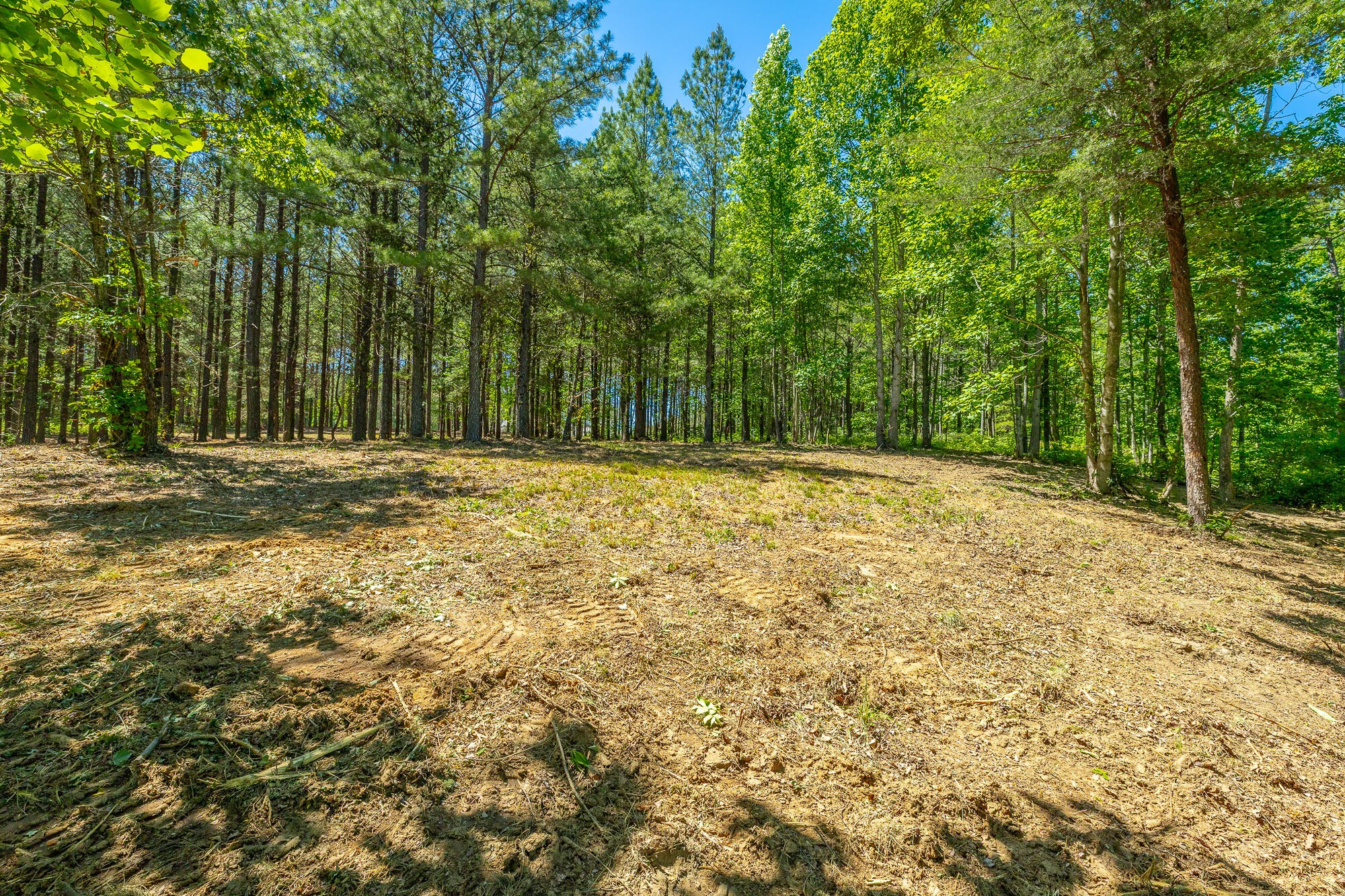 0 Split Rail Way Whiteside, TN 37396 - Photo 15 of 100 Gallery Image 15
