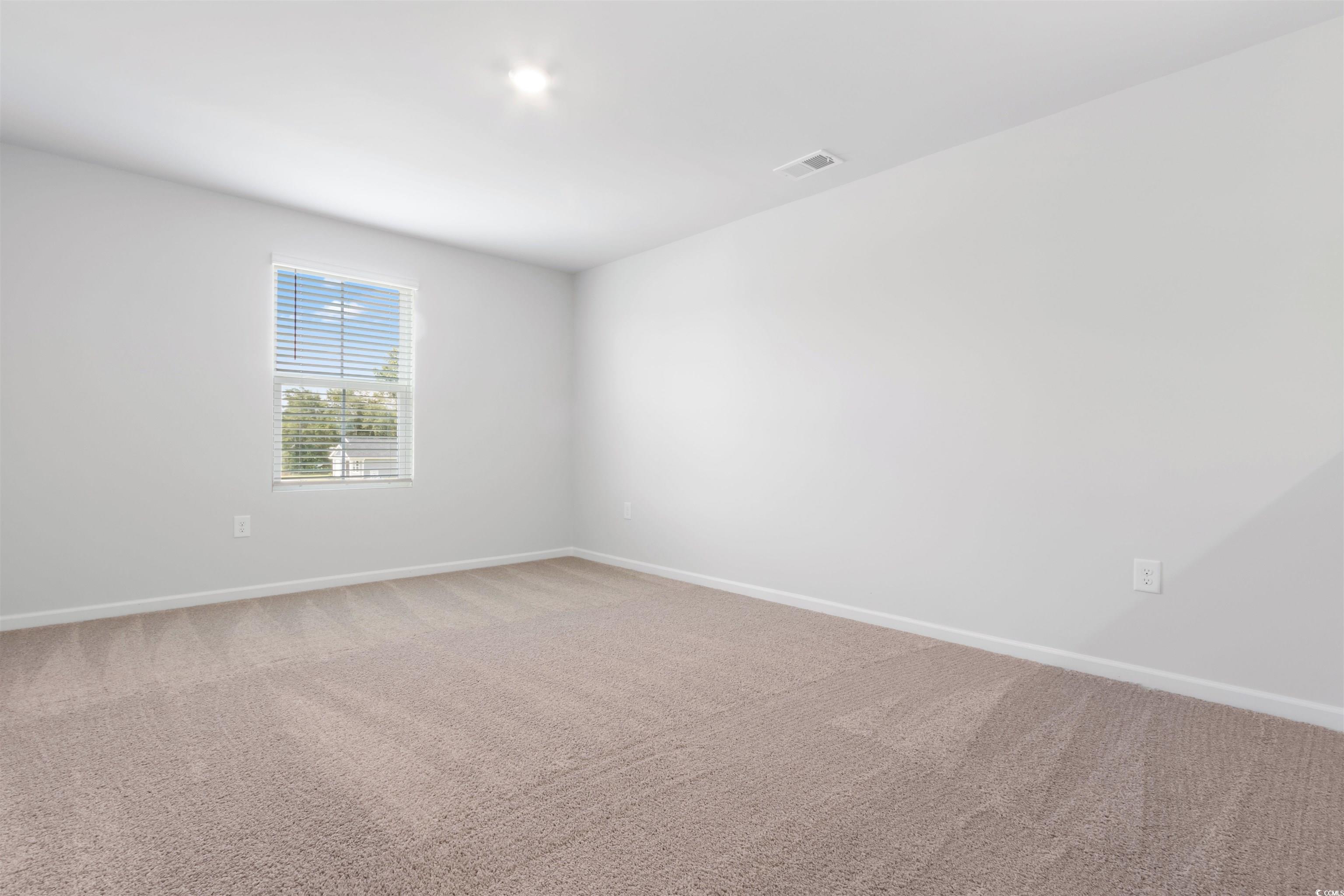 813 Rivas Court Conway, SC 29527 - Photo 19 of 38