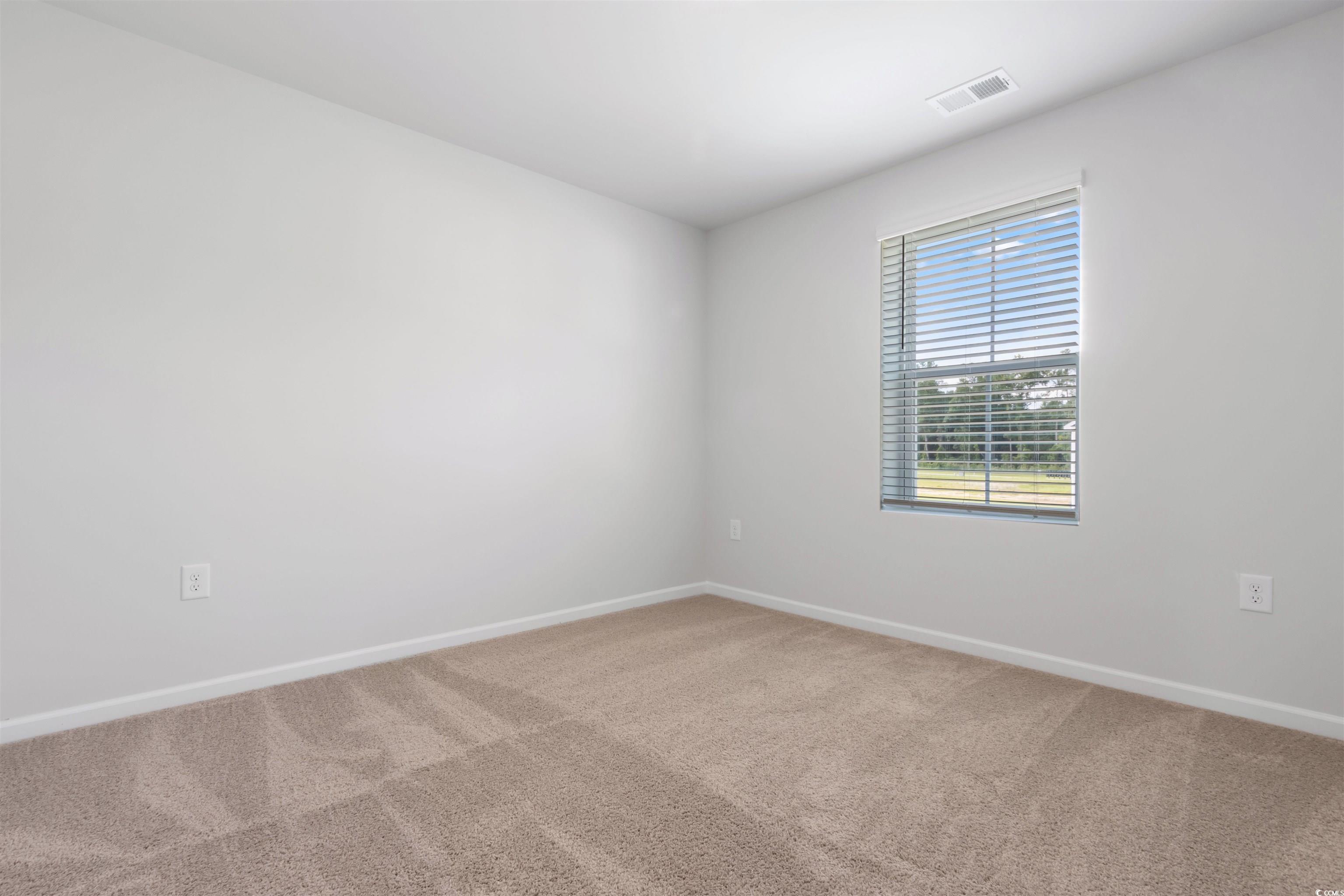 813 Rivas Court Conway, SC 29527 - Photo 32 of 38