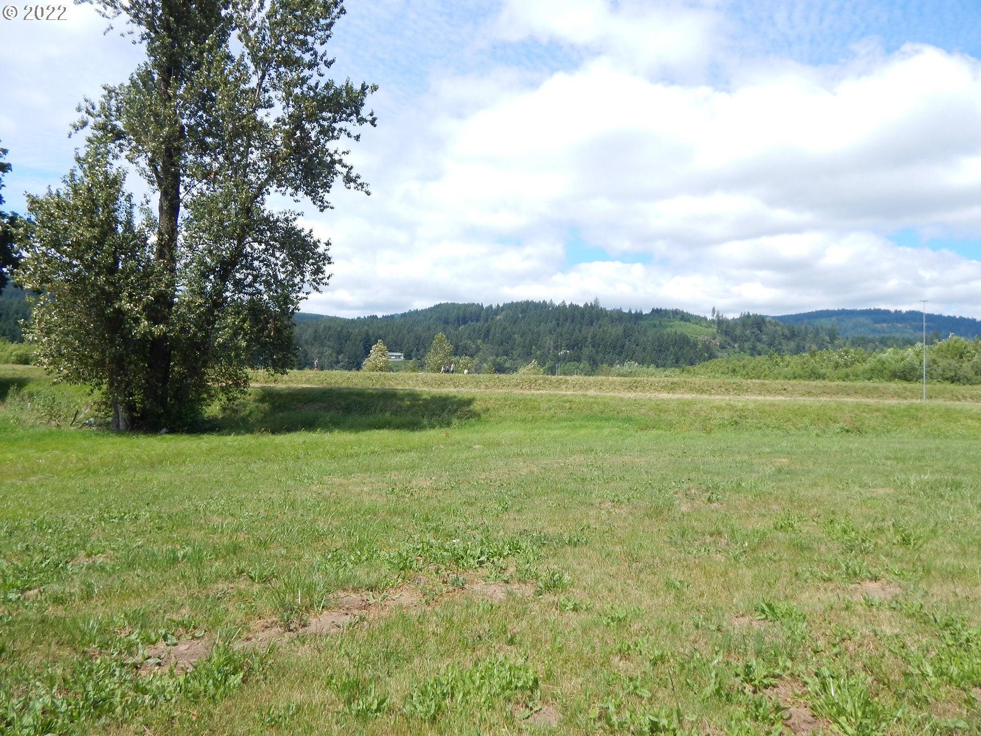 39321 Camp Creek Road Springfield, OR 97478 - Photo 25 of 32 a view of a field with an trees