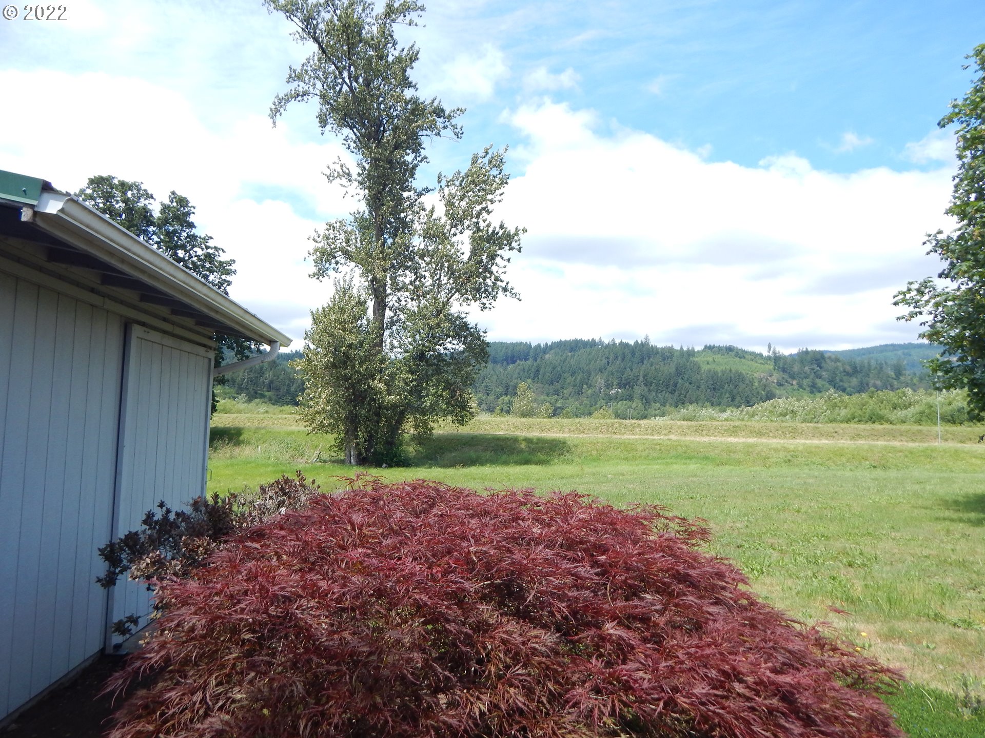 39321 Camp Creek Road Springfield, OR 97478 - Photo 29 of 32 a view of an outdoor space and a yard
