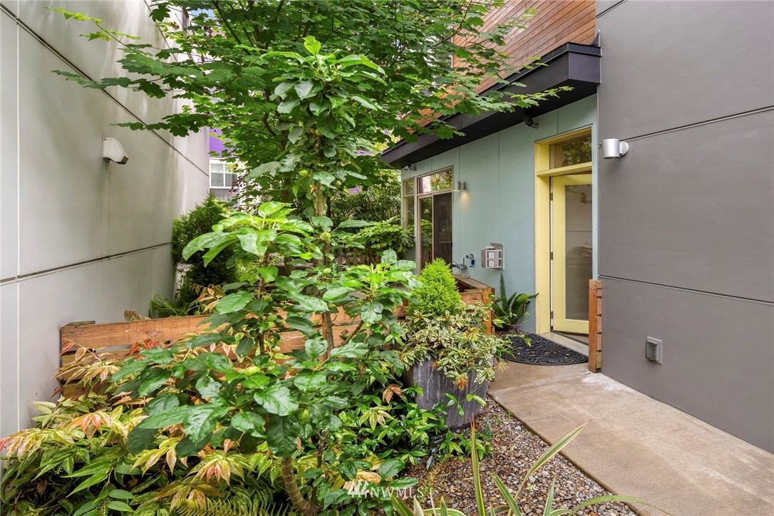 1829 24th Avenue, Unit A Seattle, WA 98122 - Photo 2 of 25 a plant that is in front of a house