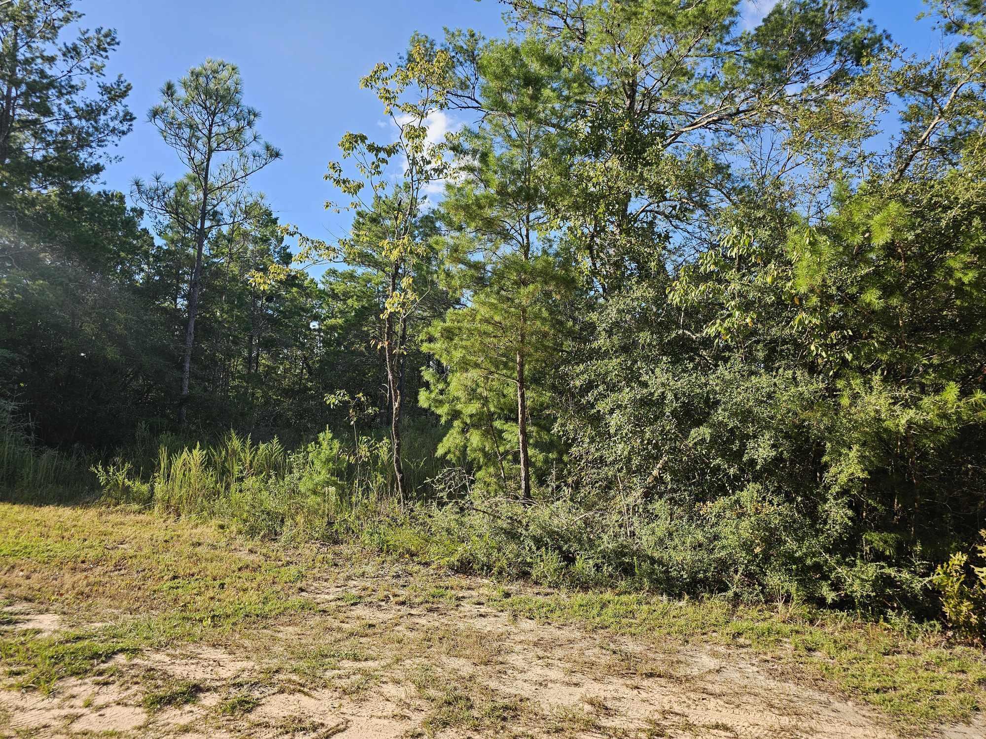 Lot 2 West Bluebottle Ct  