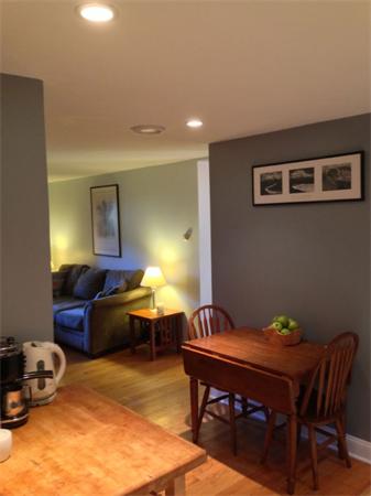 245 Kelton Street, Unit 11 Boston, MA 02134 - Photo 3 of 12 a living room with furniture a lamp and a potted plant