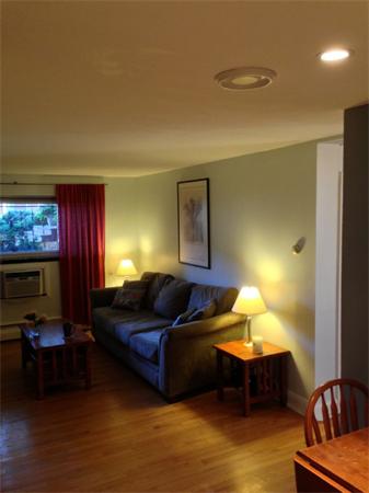245 Kelton Street, Unit 11 Boston, MA 02134 - Photo 5 of 12 a living room with furniture and a fireplace