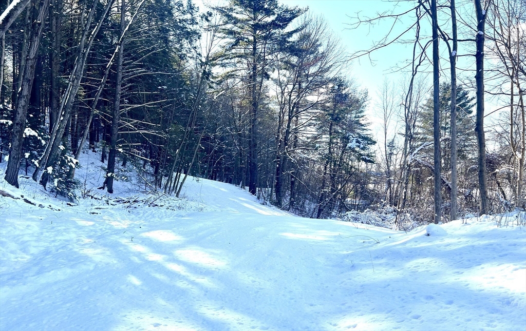 0 Greenfield Road South Deerfield, MA 01373 - Photo 8 of 11