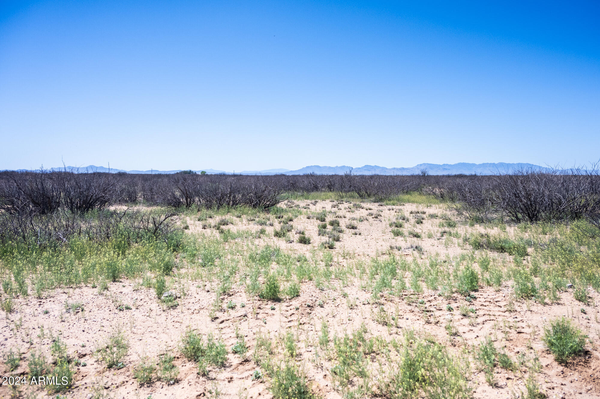 20-acres East Martin Ranch Road, Unit 4 Willcox, AZ 85643 - Photo 4 of 29 203-17-003E-2