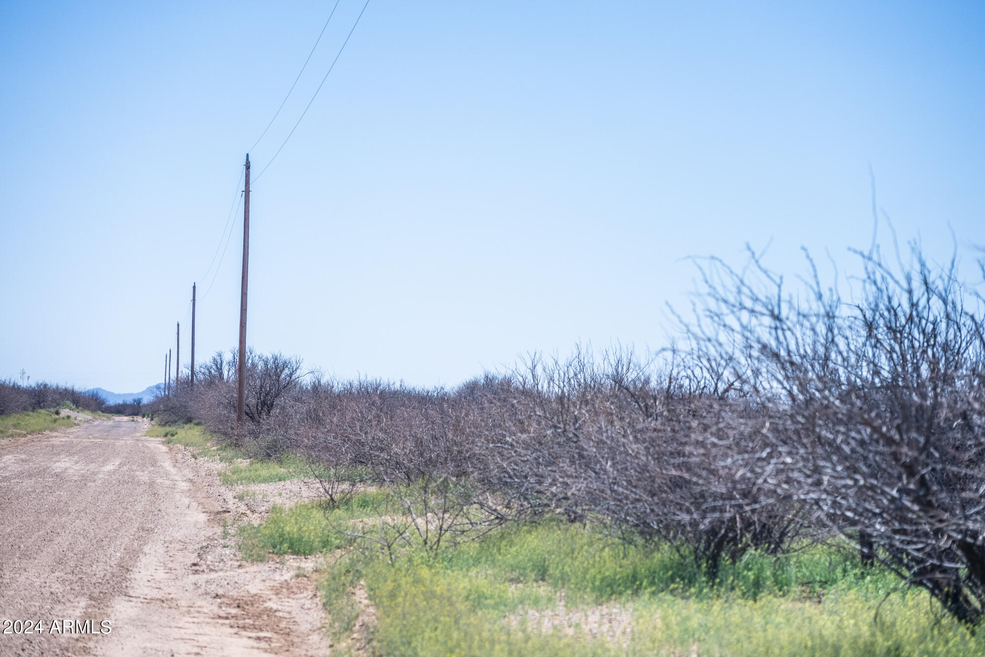 20-acres East Martin Ranch Road, Unit 4 Willcox, AZ 85643 - Photo 5 of 29 203-17-003E-3