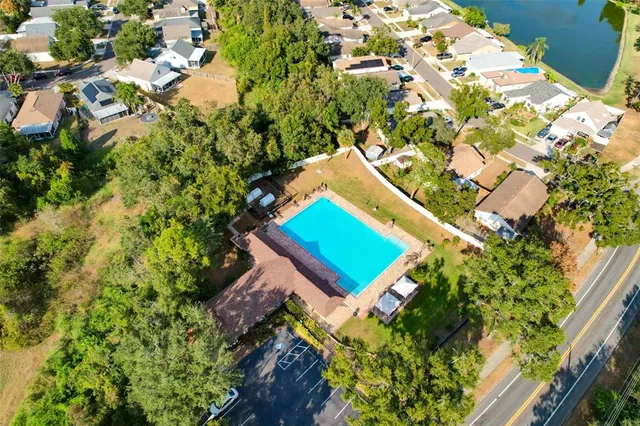 a view of a backyard with plants