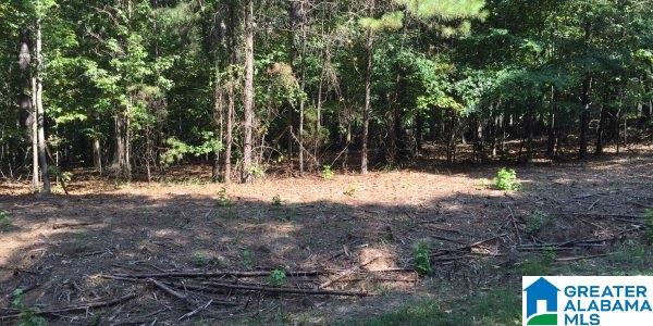 Jasmine Hill Road Pelham, AL 35124 - Photo 2 of 6