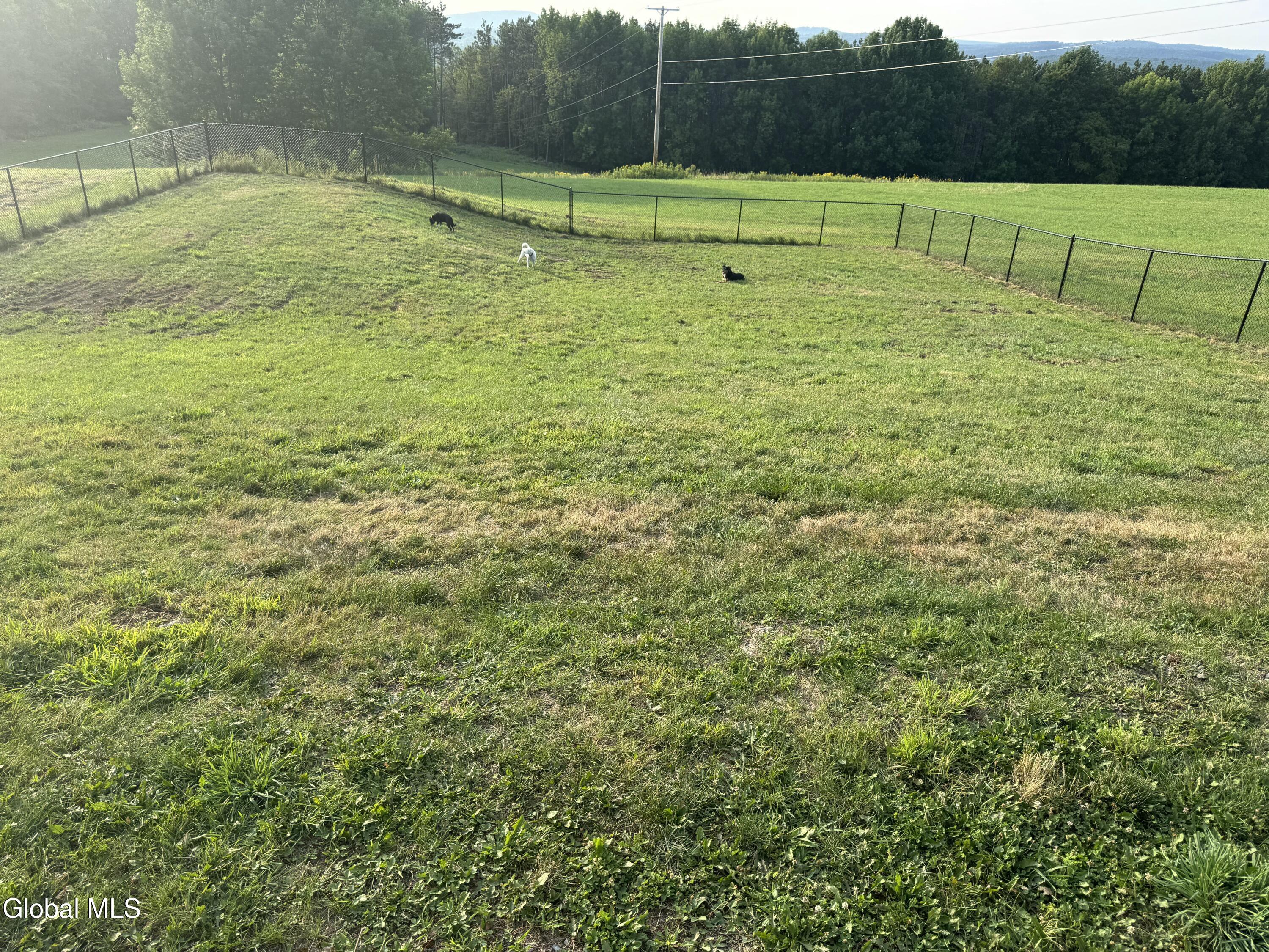 118 Stone Ridge Drive Summit, NY 12093 - Photo 62 of 89 IMG_0905