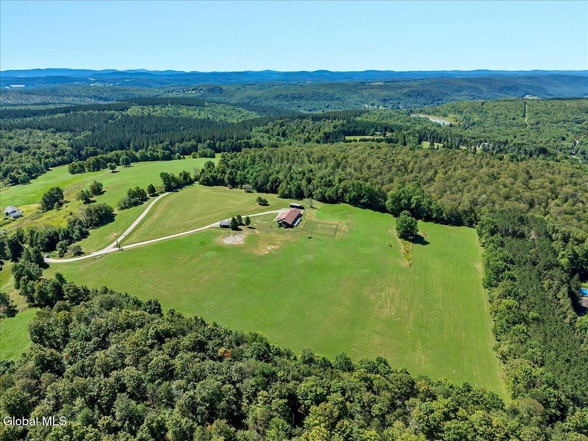 118 Stone Ridge Drive Summit, NY 12093 - Photo 87 of 89 69-DJI_20250818115054_0641_D