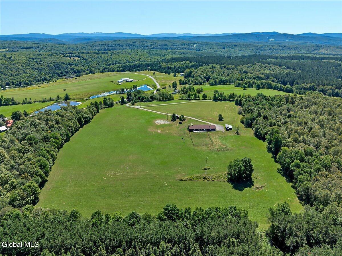 118 Stone Ridge Drive Summit, NY 12093 - Photo 88 of 89 70-DJI_20250818115138_0646_D