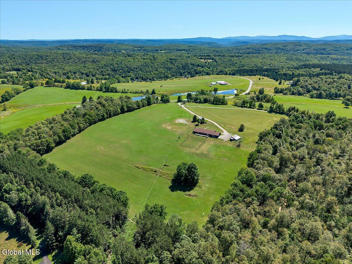 118 Stone Ridge Drive Summit, NY 12093 - Photo 89 of 89 71-DJI_20250818115202_0651_D