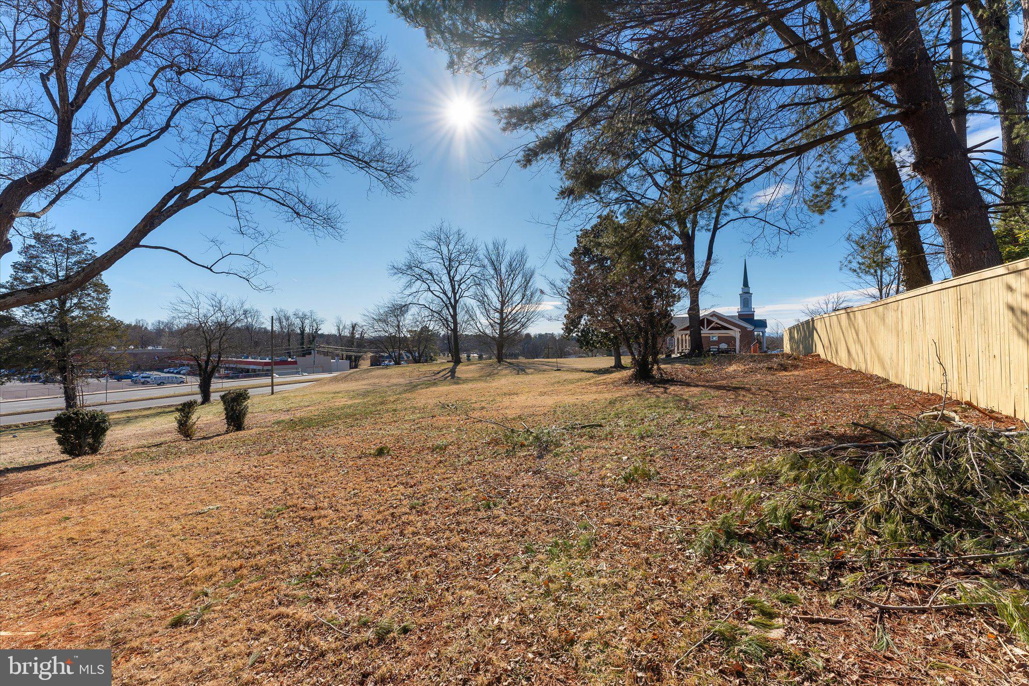 1242 South Blue Ridge Avenue Culpeper, VA 22701 - Photo 49 of 52 Gallery Image 49