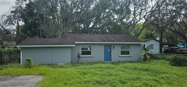 a backyard of a house with plants and large tree
