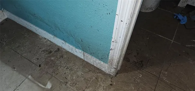 $100,000 | 37332 Highway 54, Zephyrhills, FL 33541