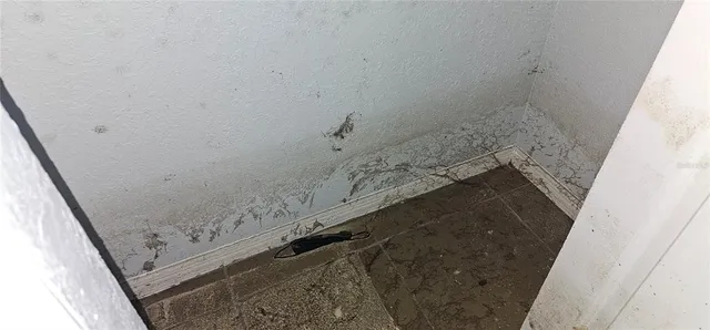 $100,000 | 37332 Highway 54, Zephyrhills, FL 33541