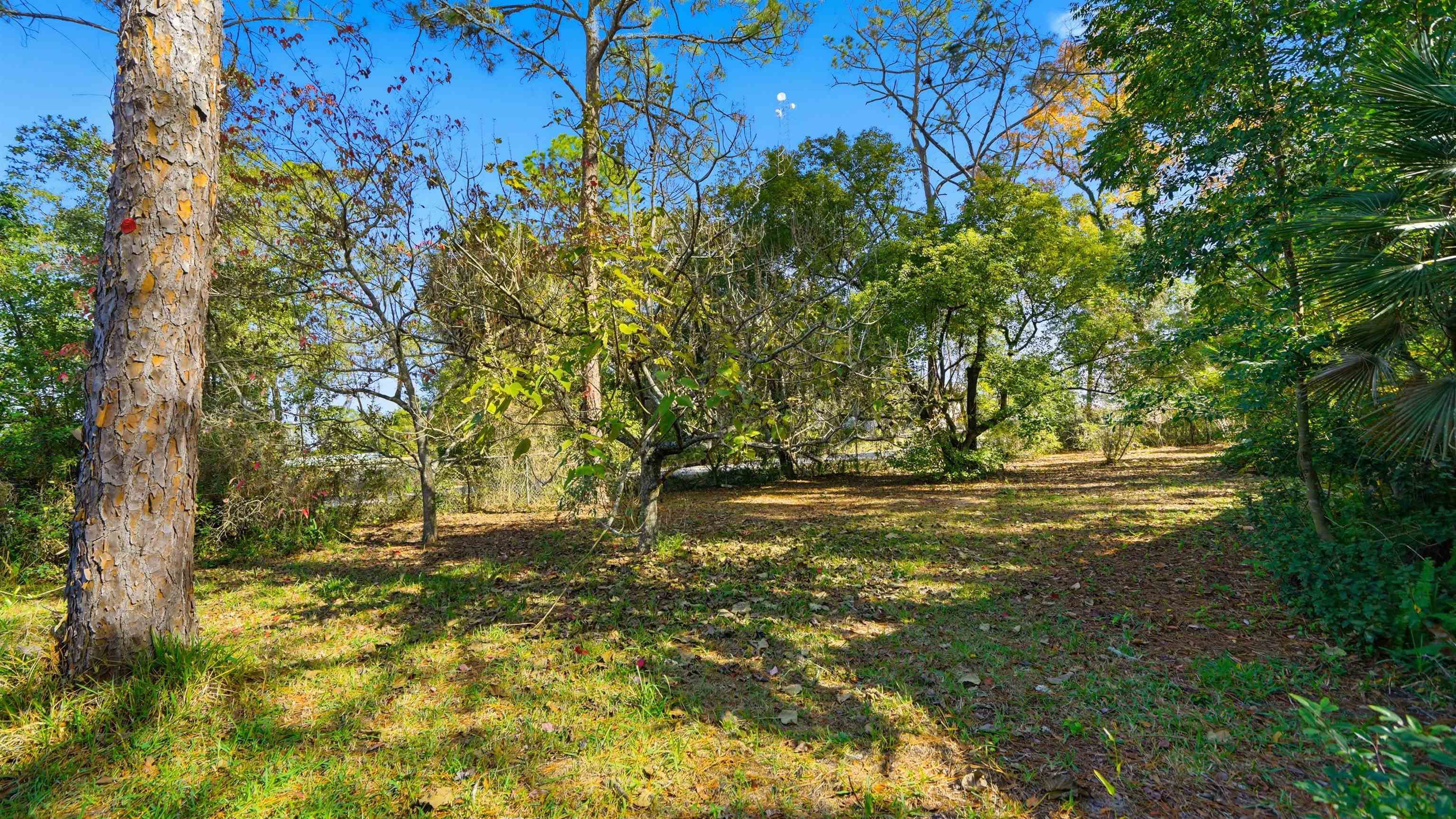 7451 Hilltop Street Keystone Heights, FL 32656 - Photo 8 of 24 a view of yard with trees