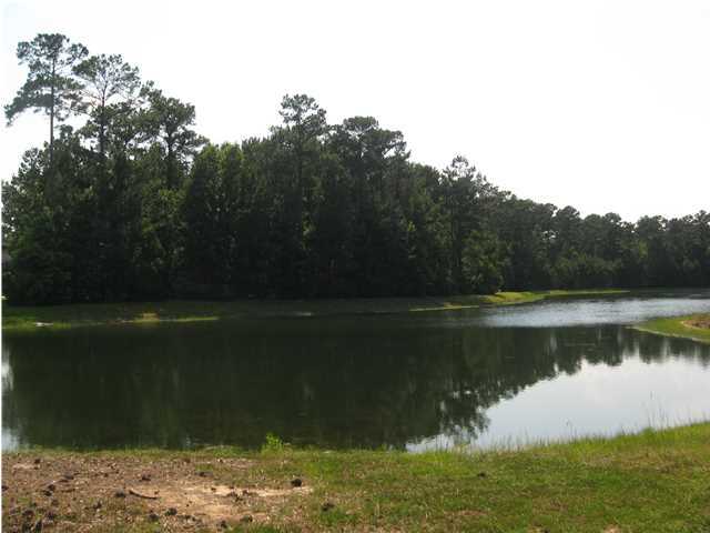 4545 Duck Club Road Hollywood, SC 29470 - Photo 1 of 51 Primary Photo