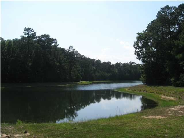 4545 Duck Club Road Hollywood, SC 29470 - Photo 2 of 51 Additional Photo