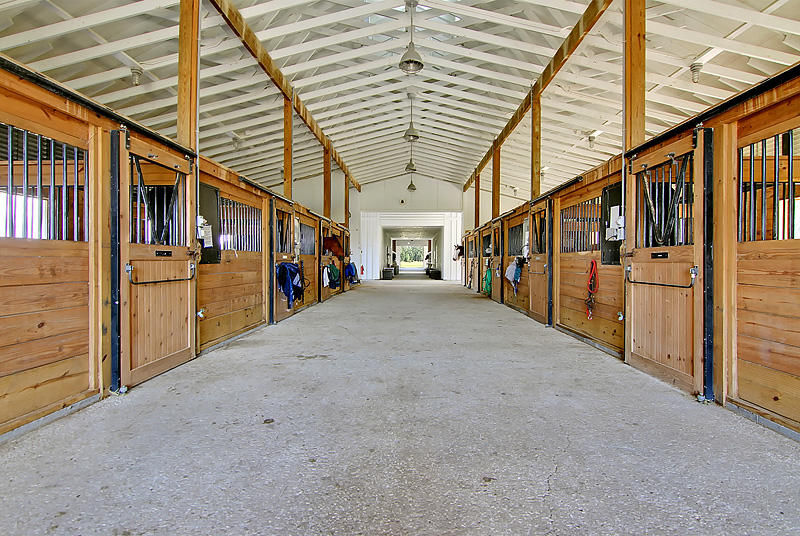4545 Duck Club Road Hollywood, SC 29470 - Photo 50 of 51 Stalls