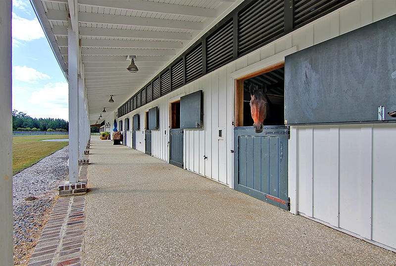 4545 Duck Club Road Hollywood, SC 29470 - Photo 51 of 51 Stalls1