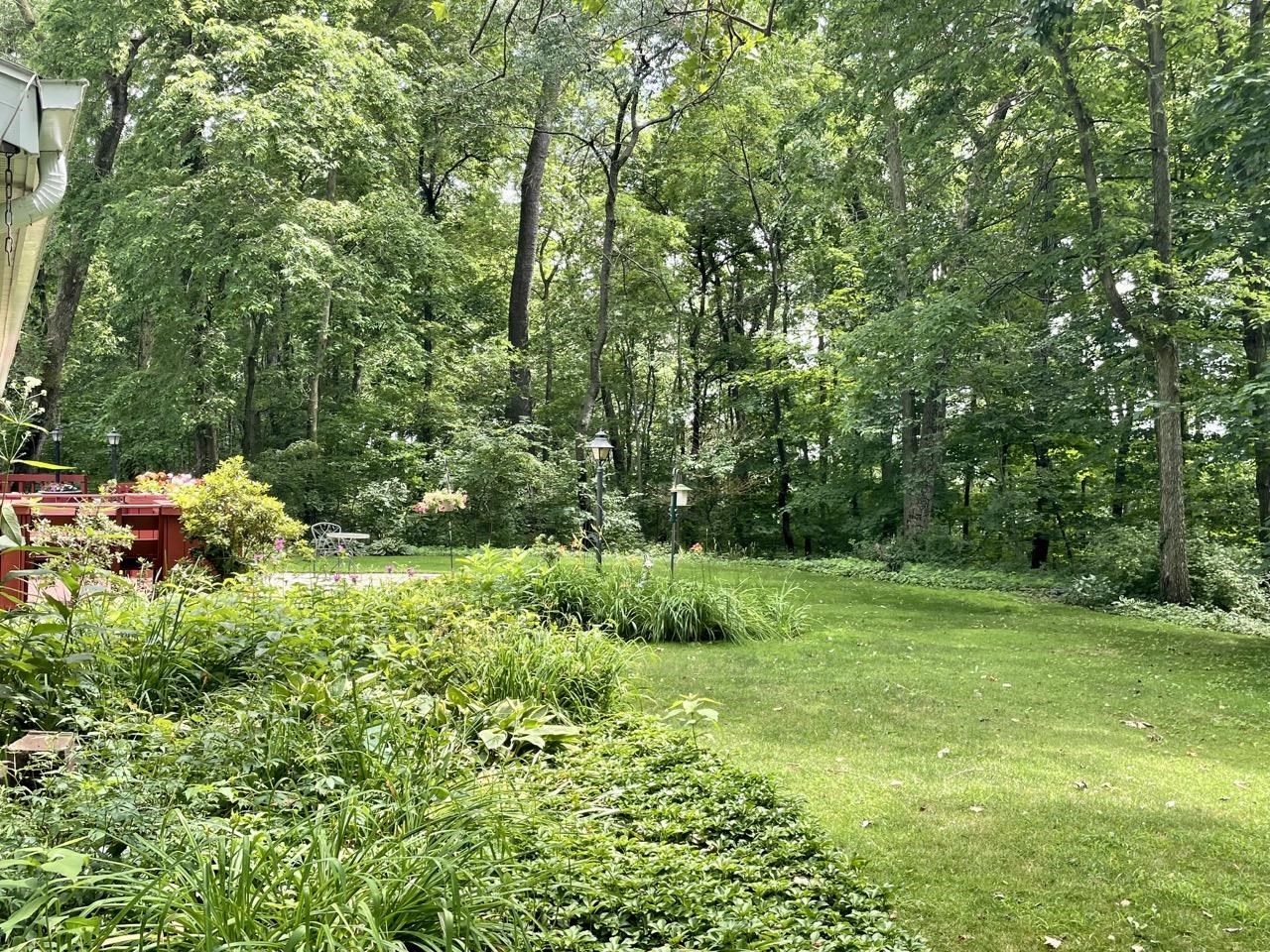 6840 Best Road Pecatonica, IL 61063 - Photo 25 of 29 a view of a lush green forest