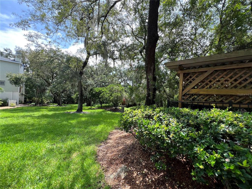 1383 Curlew Road Dunedin, FL 34698 - Photo 52 of 56 Gallery Image 52
