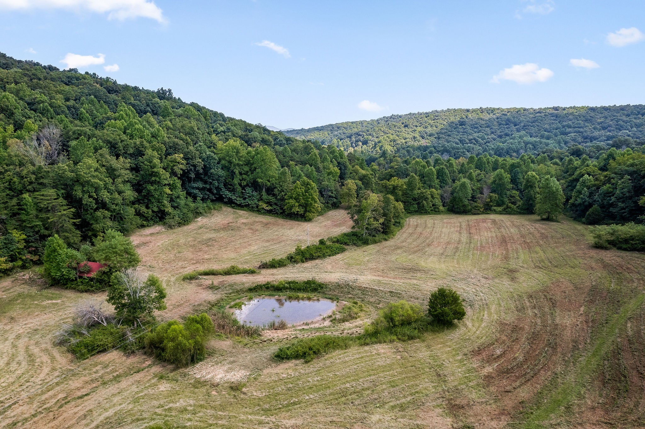 2641 Stamps Shady Grove Road Monterey, TN 38574 - Photo 2 of 70 a view of a backyard