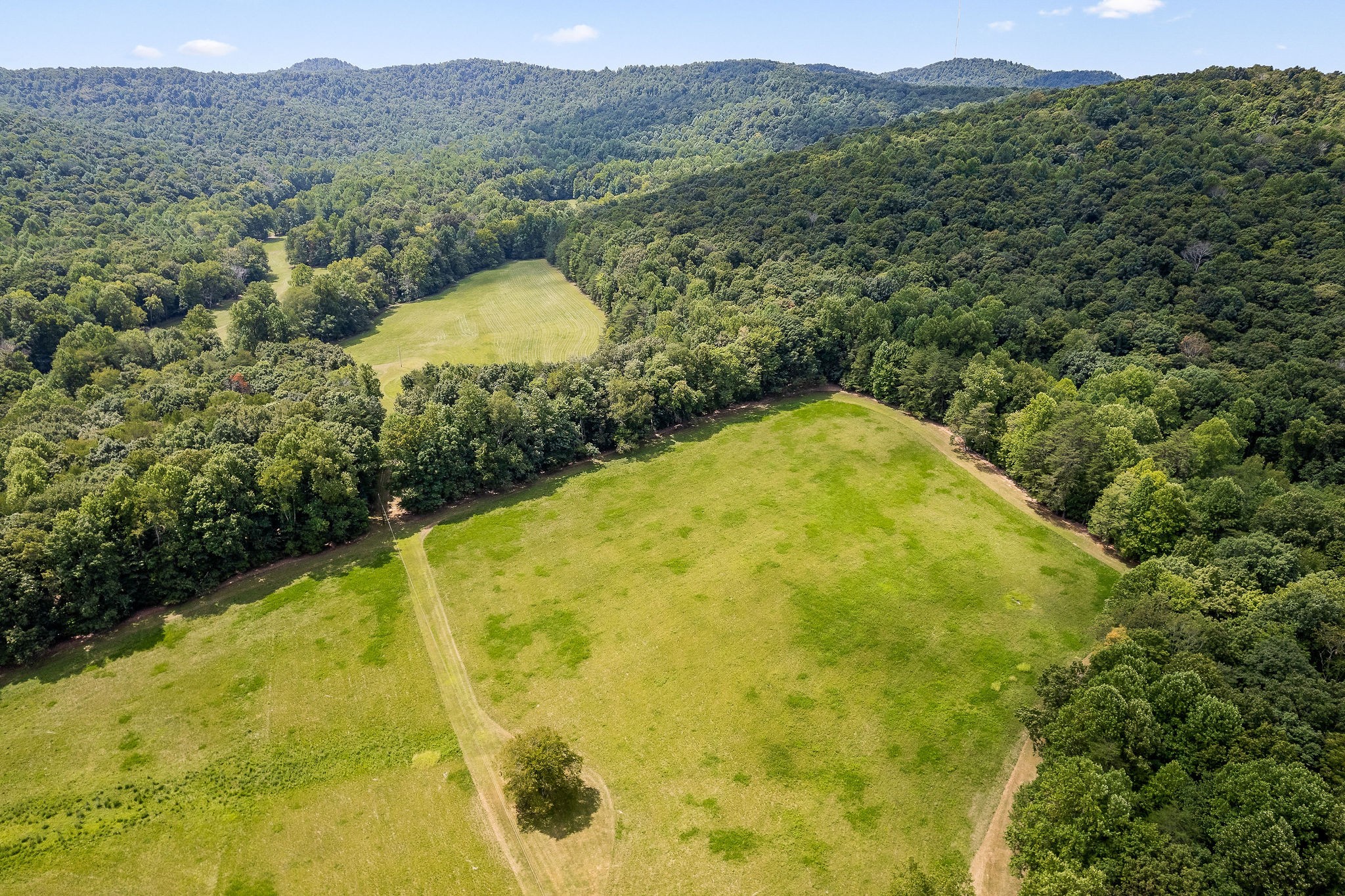 2641 Stamps Shady Grove Road Monterey, TN 38574 - Photo 22 of 70 a view of a swimming pool with a yard