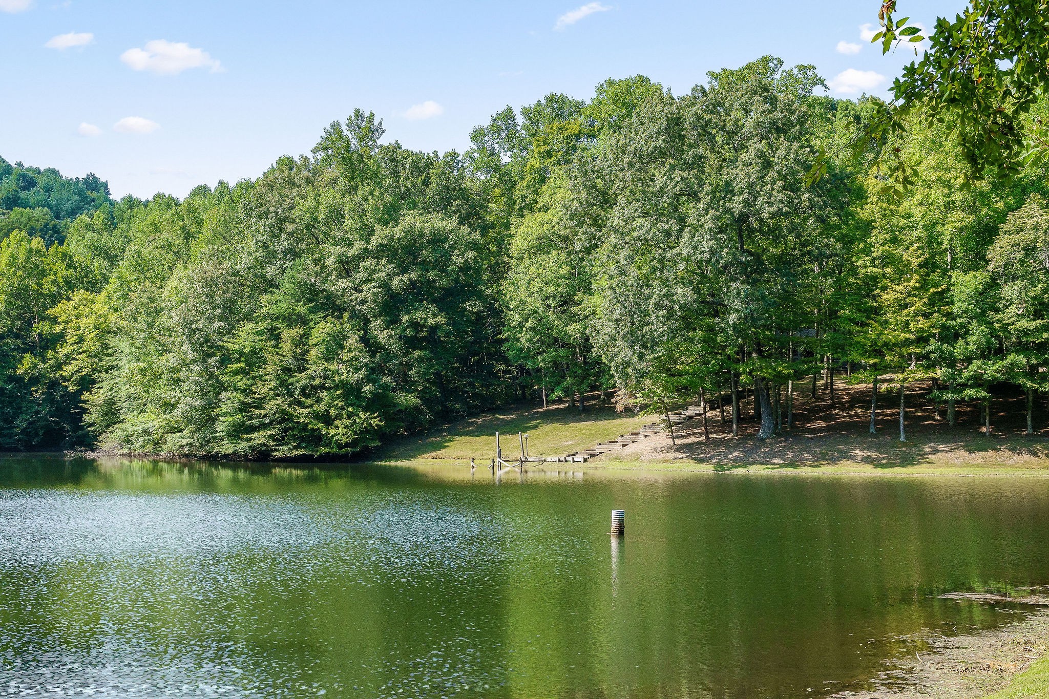 2641 Stamps Shady Grove Road Monterey, TN 38574 - Photo 43 of 70 a view of lake background