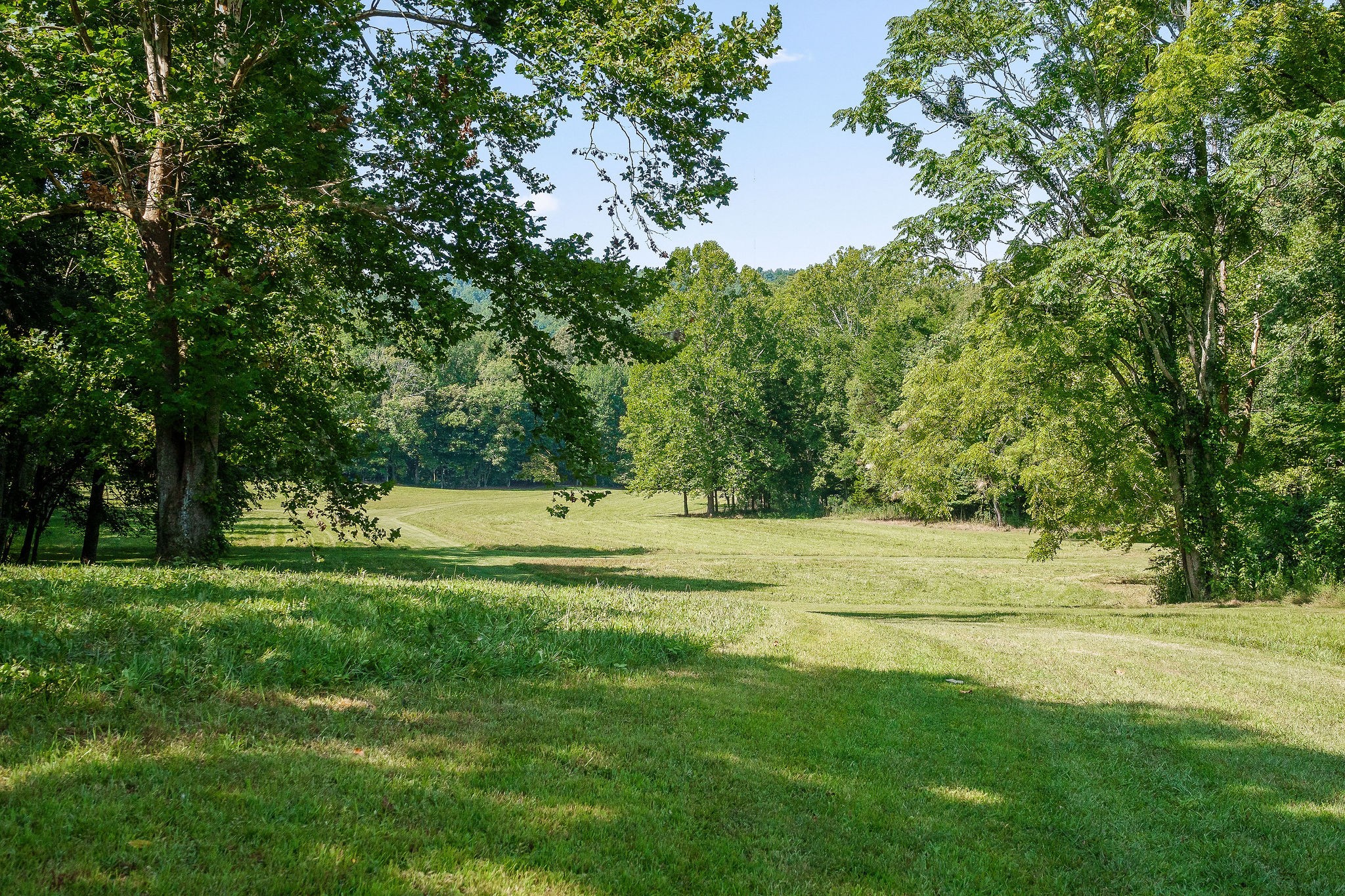 2641 Stamps Shady Grove Road Monterey, TN 38574 - Photo 45 of 70 a view of field with trees in the background