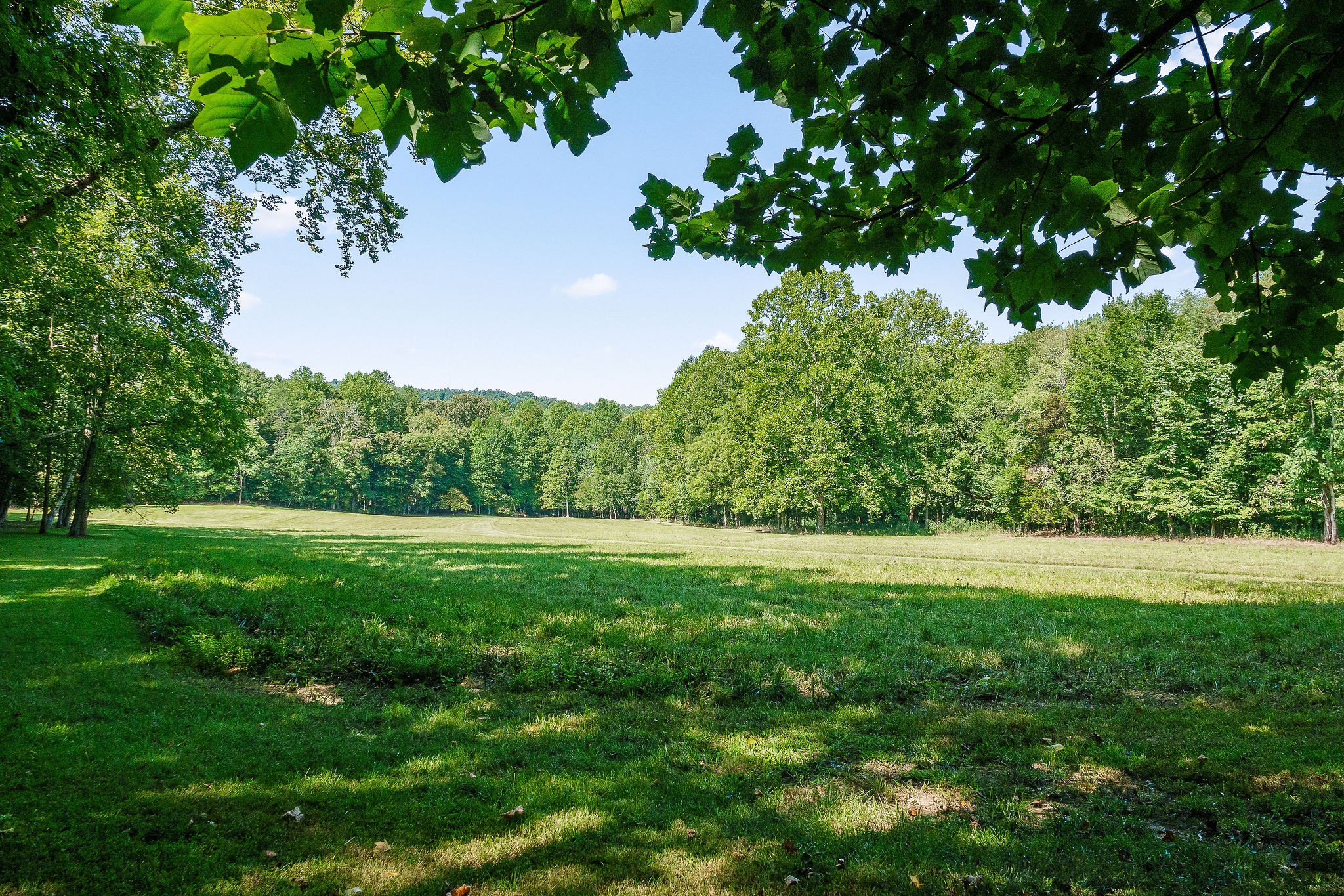 2641 Stamps Shady Grove Road Monterey, TN 38574 - Photo 47 of 70 a view of outdoor space with deck and yard