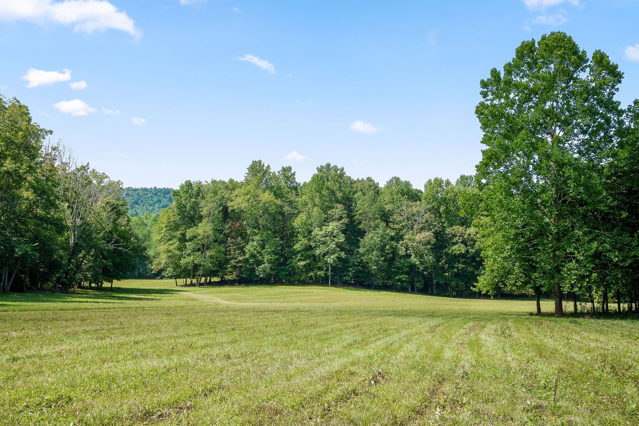 2641 Stamps Shady Grove Road Monterey, TN 38574 - Photo 53 of 70 a view of a field with trees in the background